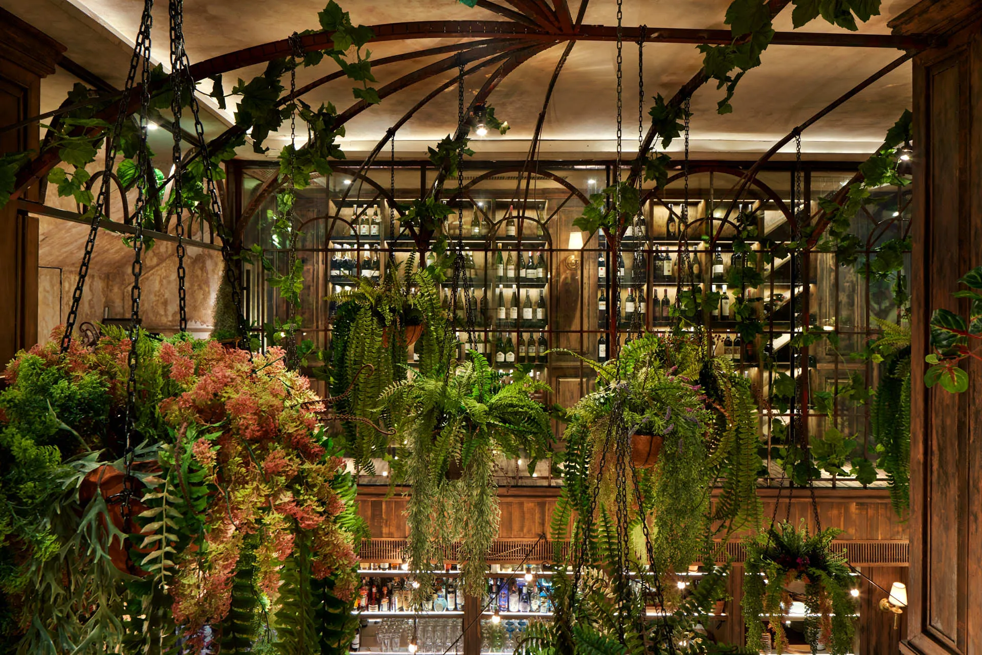 Overhead view through iron conservatory with cascading ferns and backlit wine wall — The Bar Upstairs Bangkok photography
