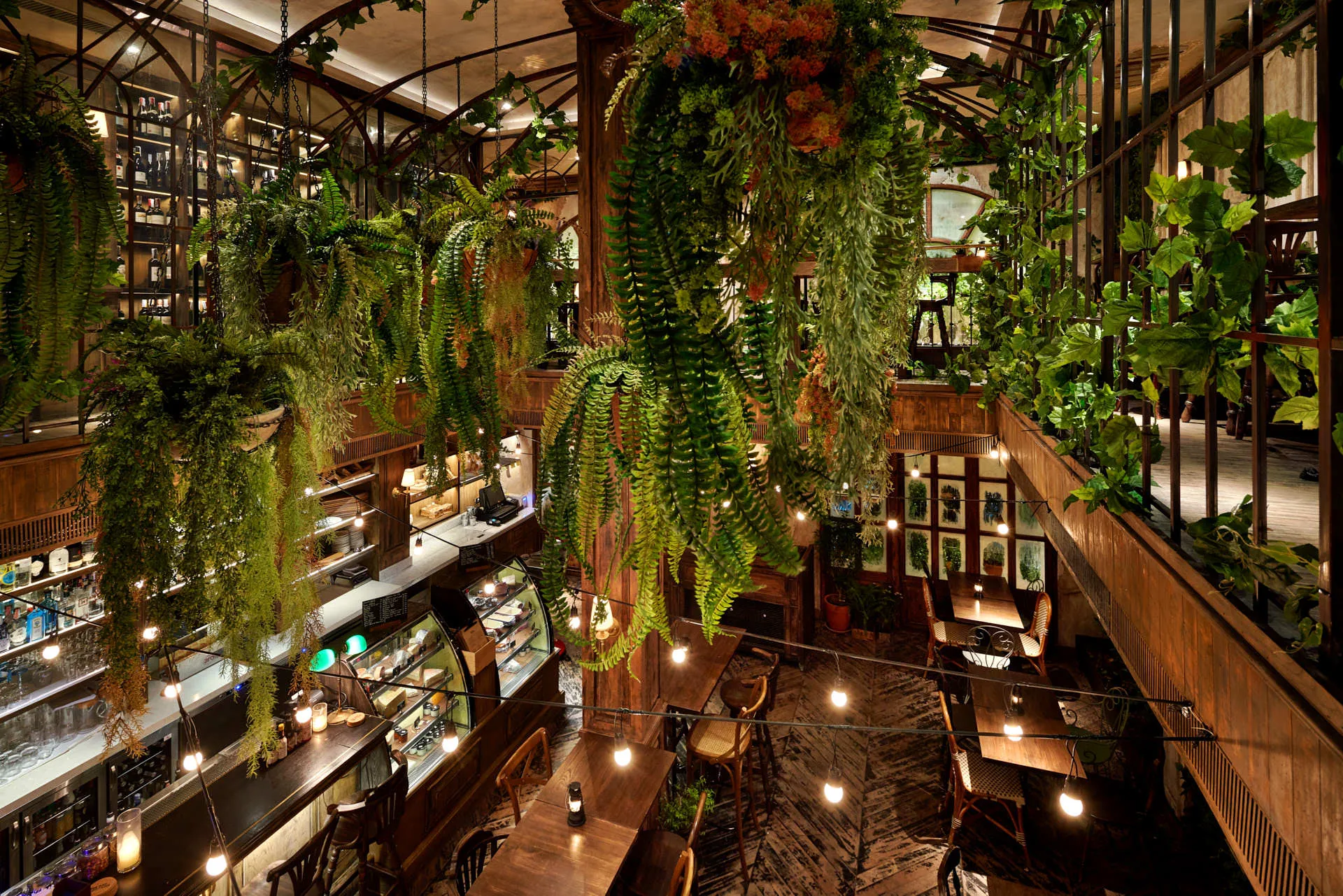 Bird's-eye view of greenhouse bar with hanging ferns and Edison string lights — The Bar Upstairs Bangkok interior photography